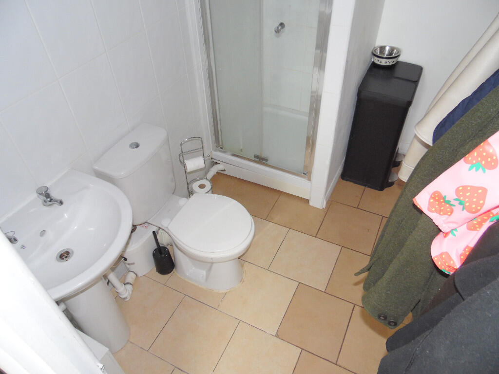 DOWNSTAIRS SHOWER RM