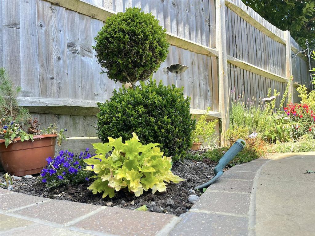 Garden (5).jpeg