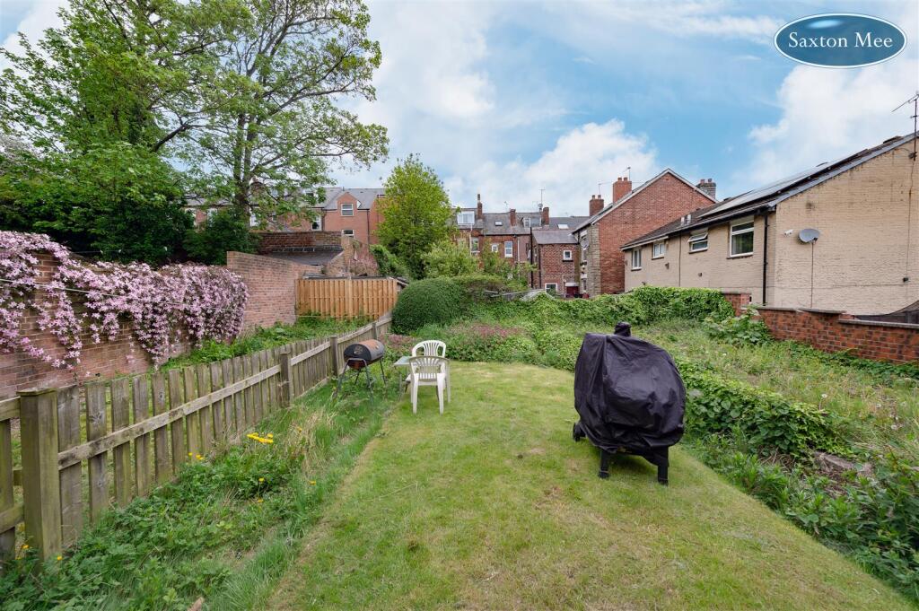 garden 9930.jpg