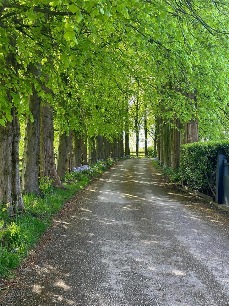 PHOTO-2025-10-29-14-50-37 11.jpg