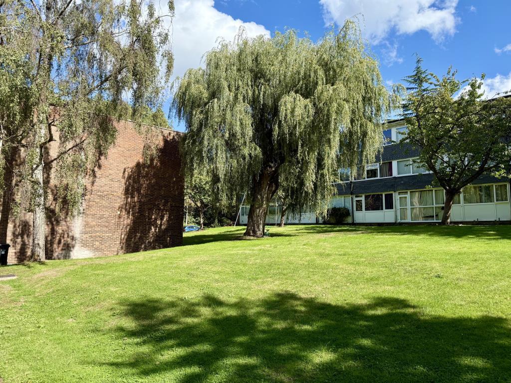 Communal Grounds