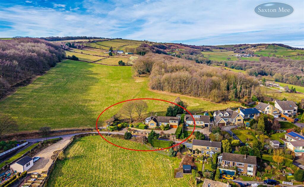 DJI_20250305101730_0532_D copy.jpg