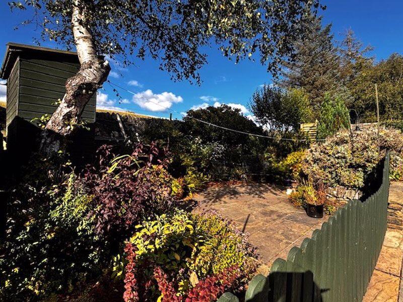 Garden Opposite
