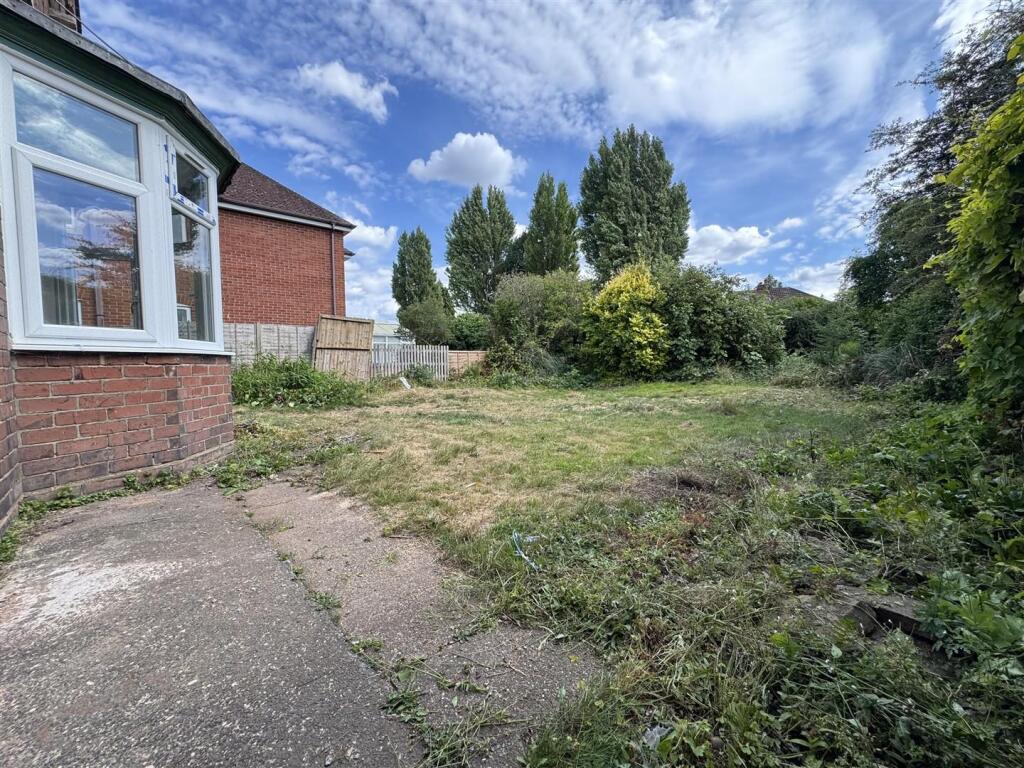 IMG_8637 (Large).JPG