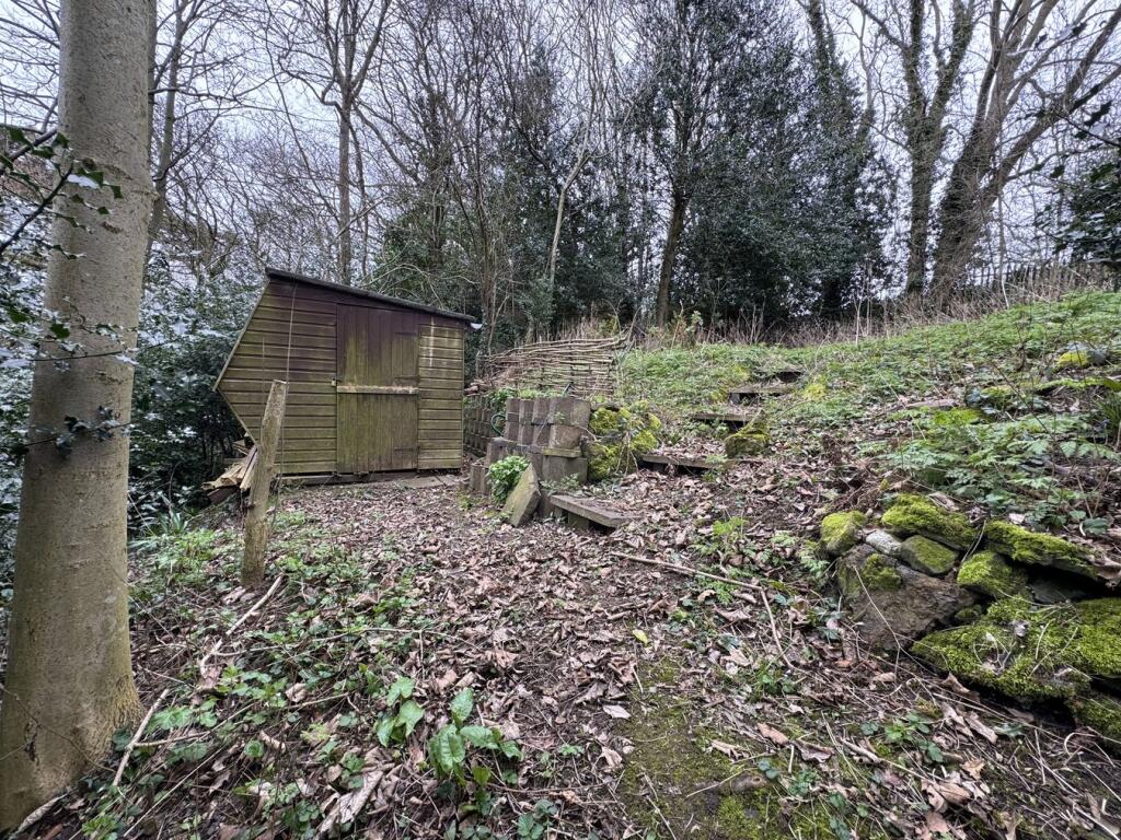 Side Garden