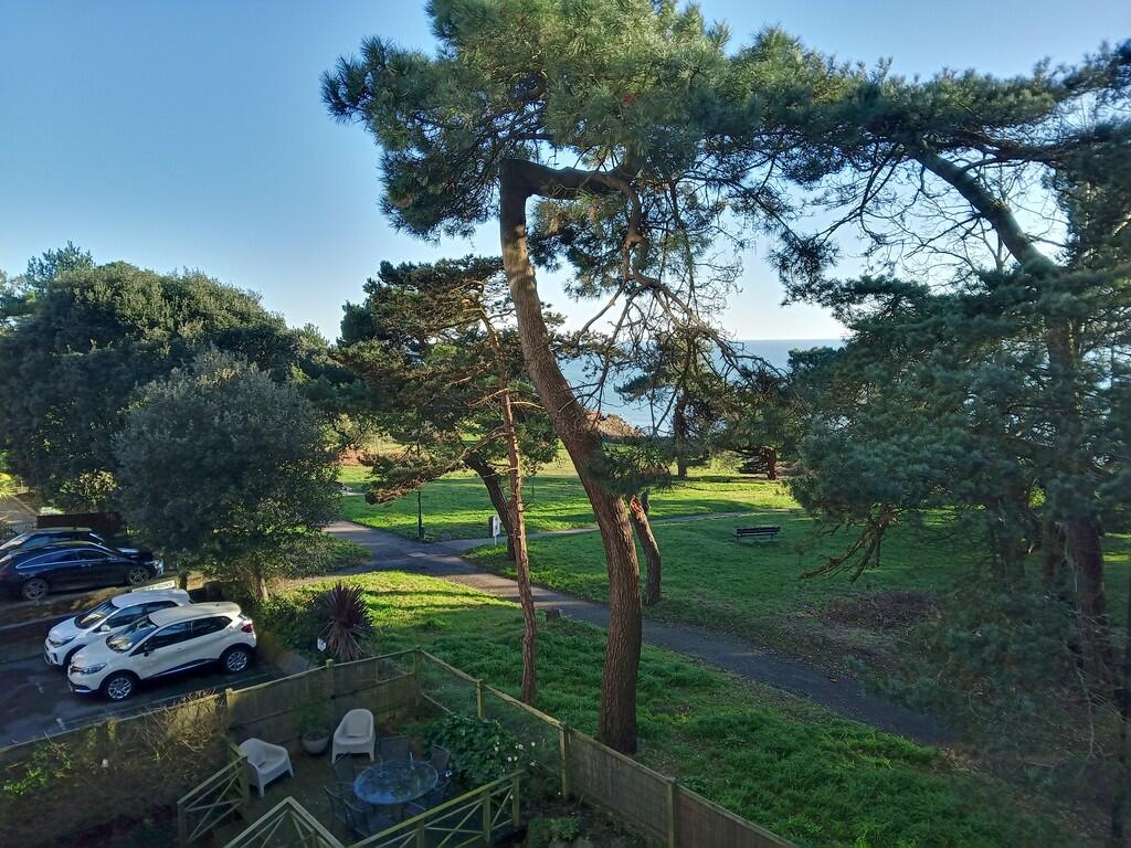 IMG_20250109_1355...