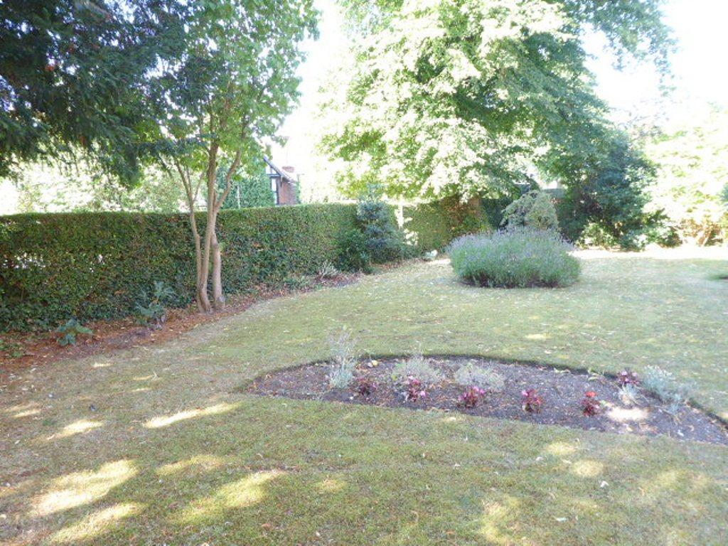 Communal Garden