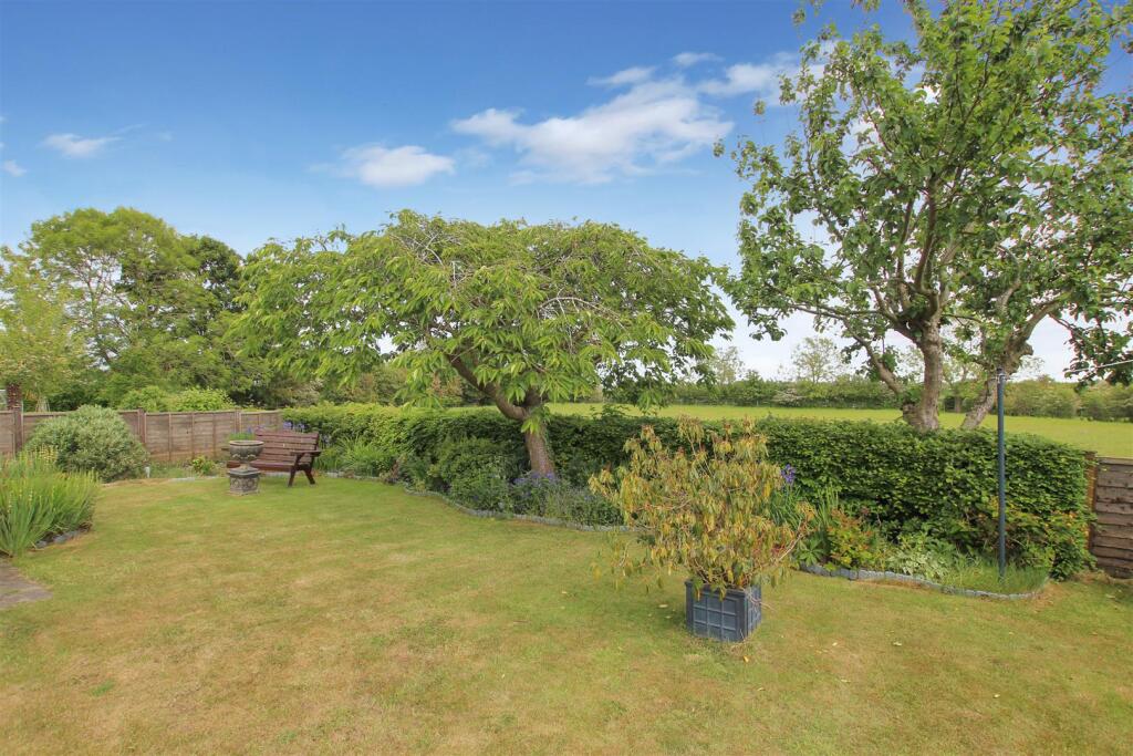 Rear Garden.JPG