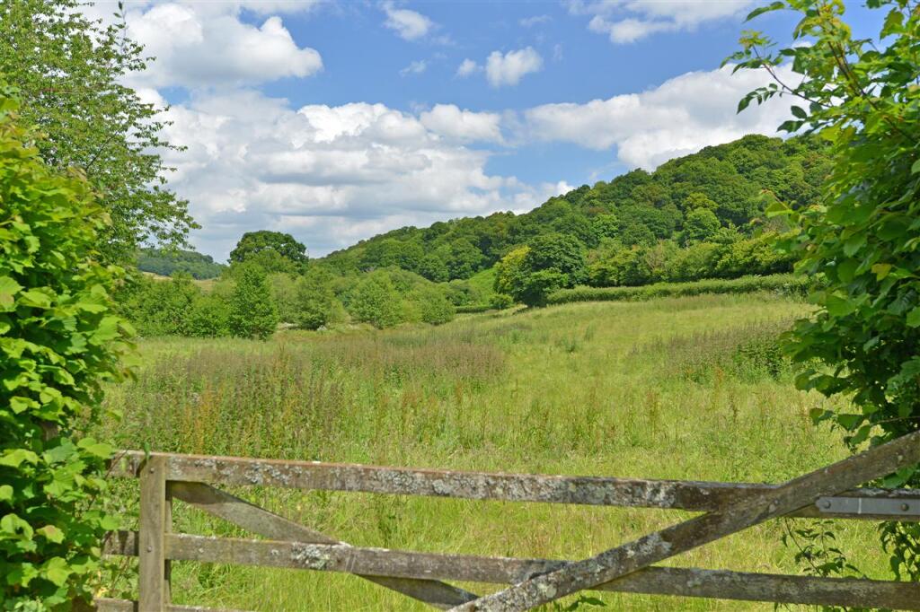Field