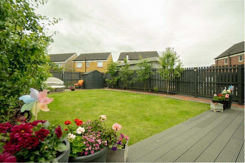 Rear Garden - 3