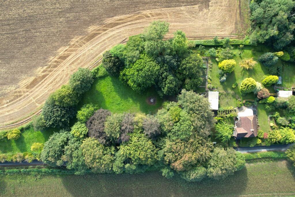 dji_fly_20230826_090930_2_1693041053340_photo.JPG