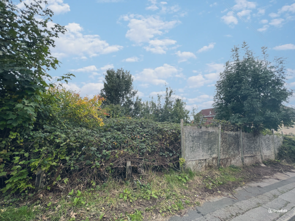 Snapedit 1728482866149 T202410091548.png