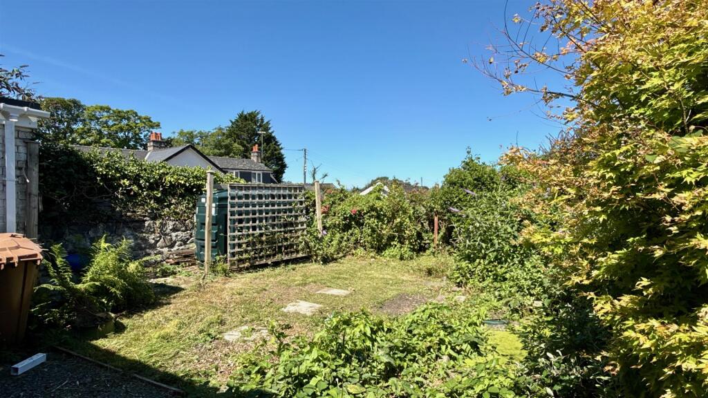Back Garden