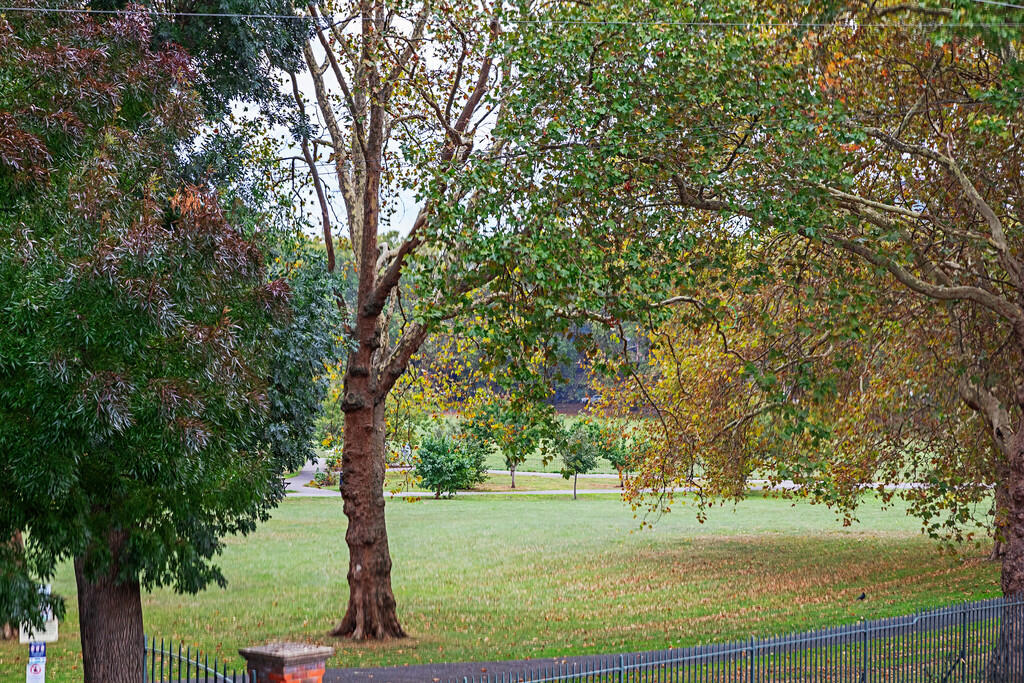 Scawen_Road_32