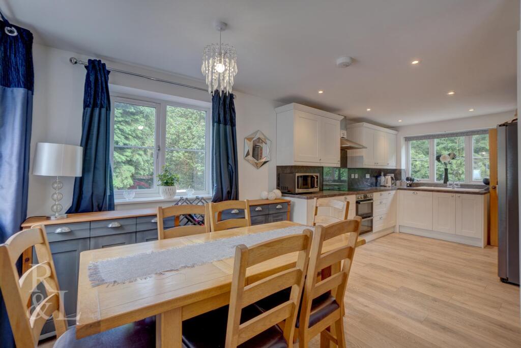 Canal Street (8).jpg