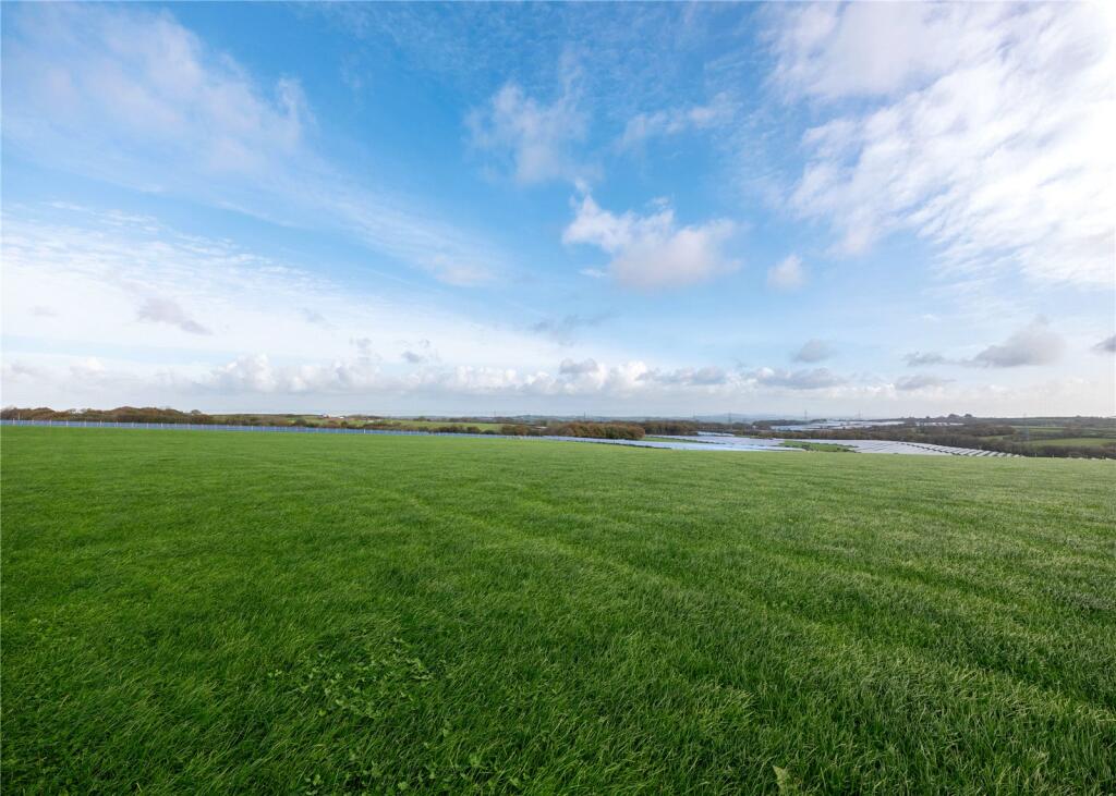 Pasture