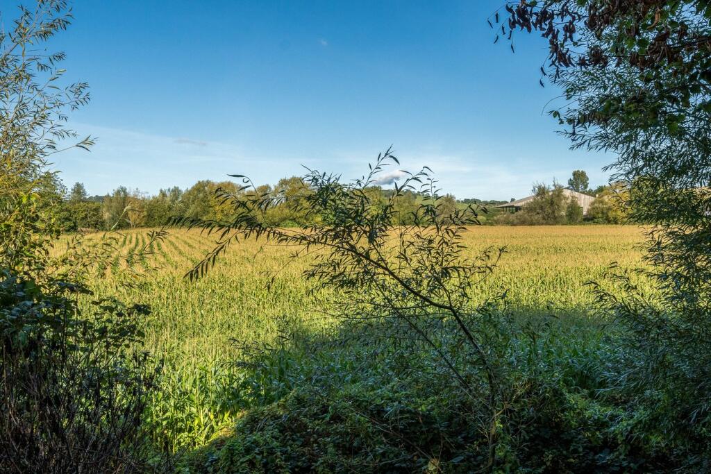 Open fields to the r