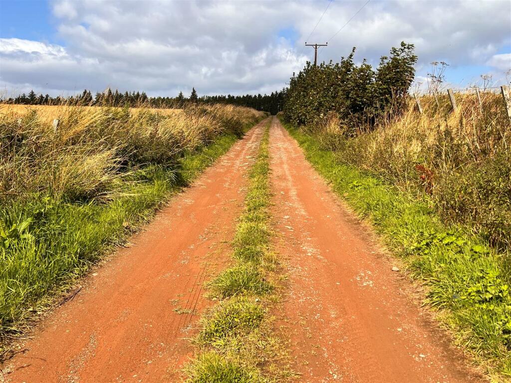 Private road.jpg