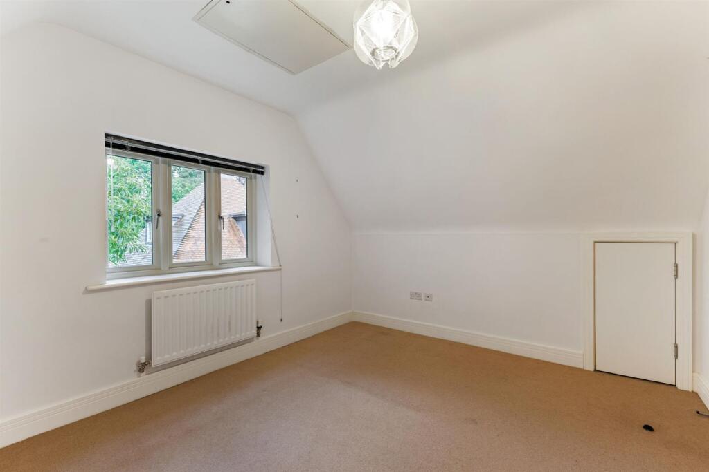 95877_1-Martingales-Close (15)_low.jpg