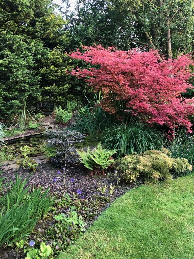 thumbnail_IMG_230...