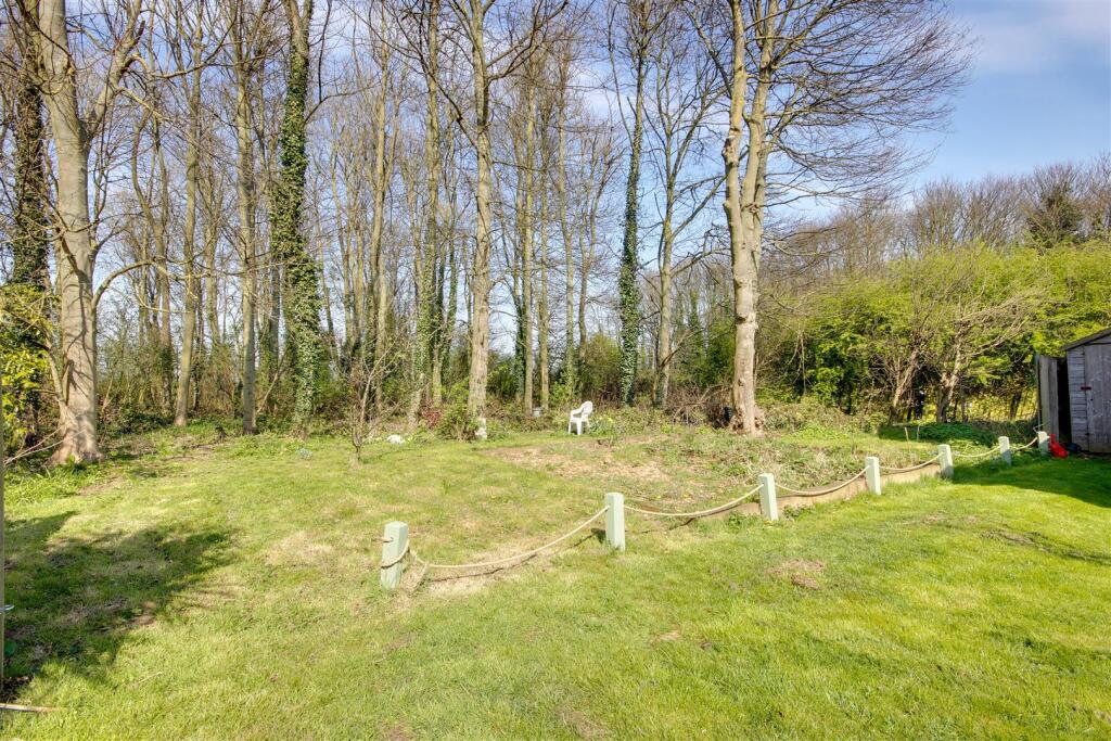 Open Woodland Area