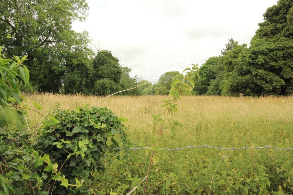 View across meadows