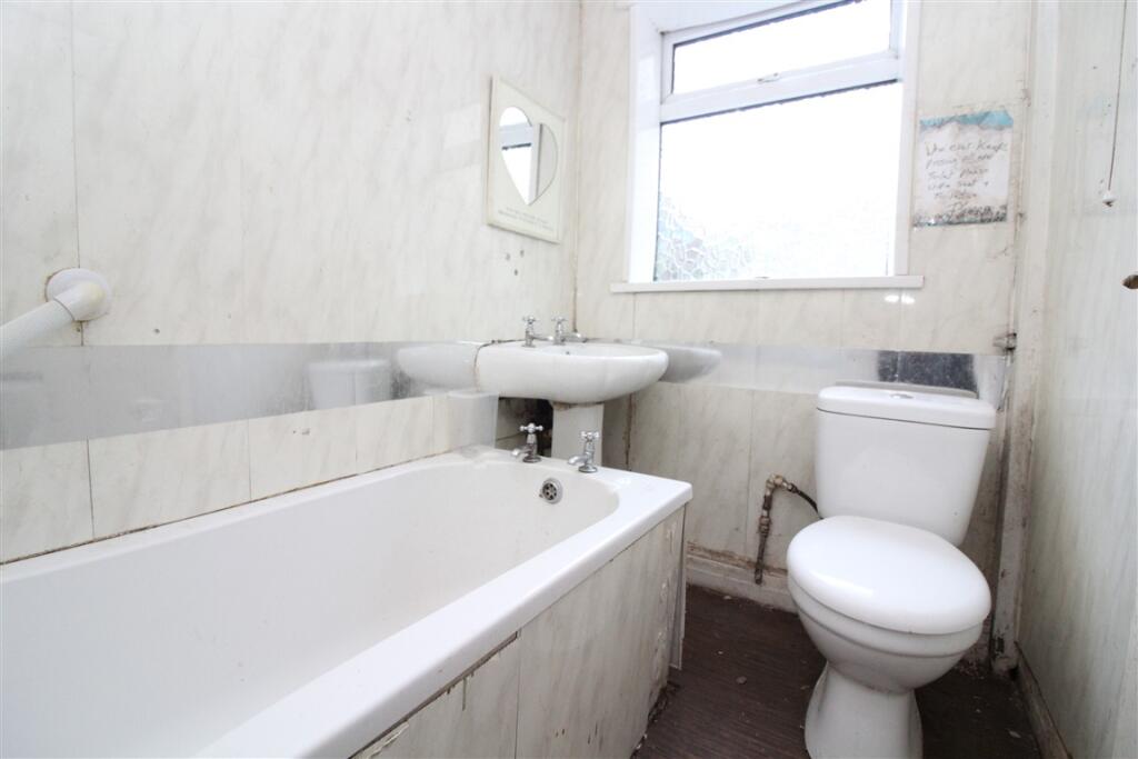 IMG 6847  Medium  T202510091237.jpg