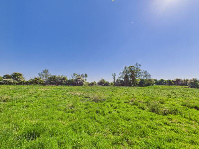 Field views beyond garden