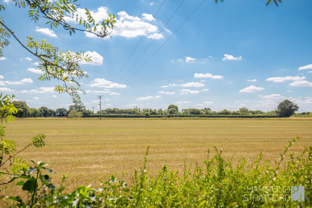 Field Views