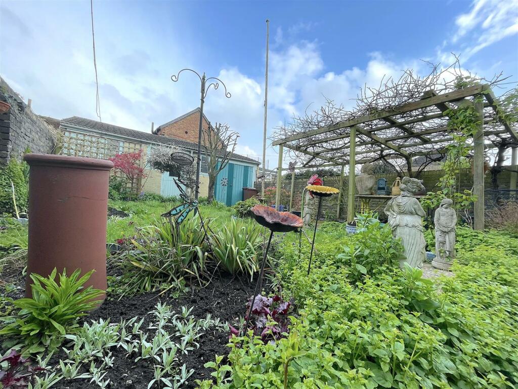 Garden (6).jpeg