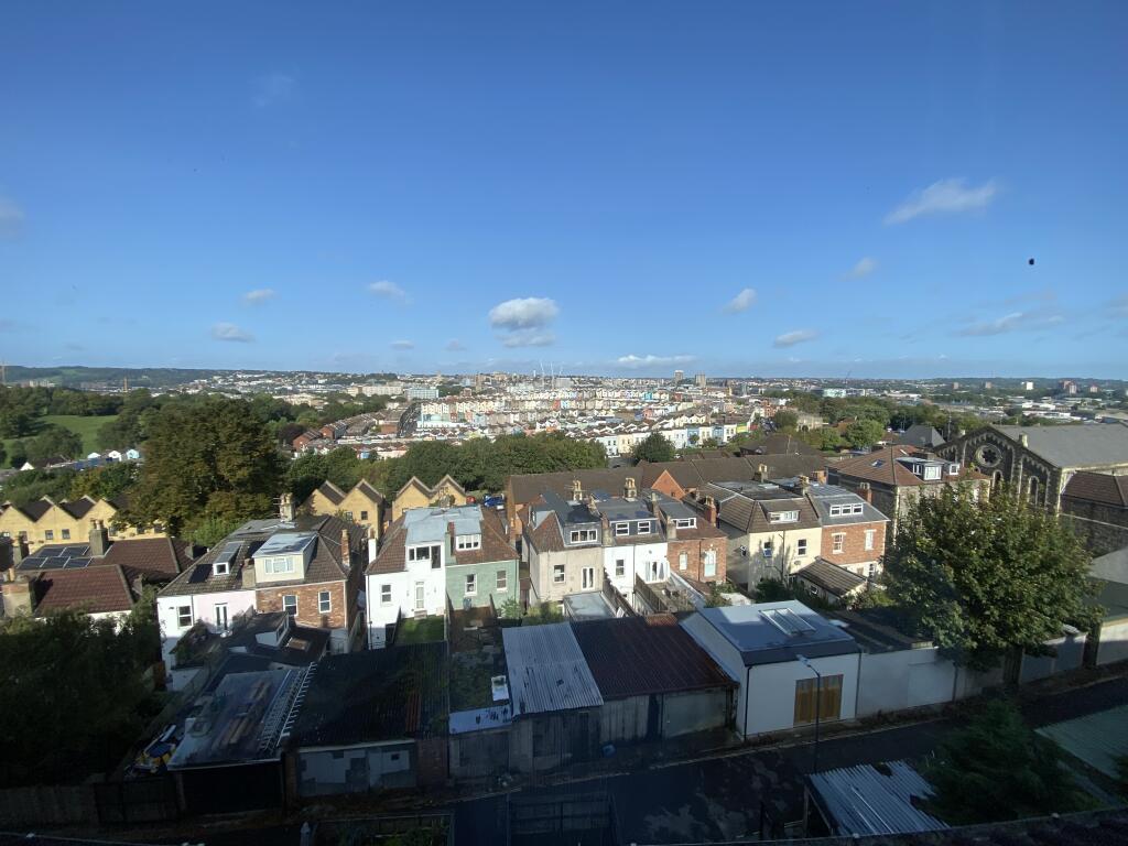 IMG 3800 T202310090914.jpg