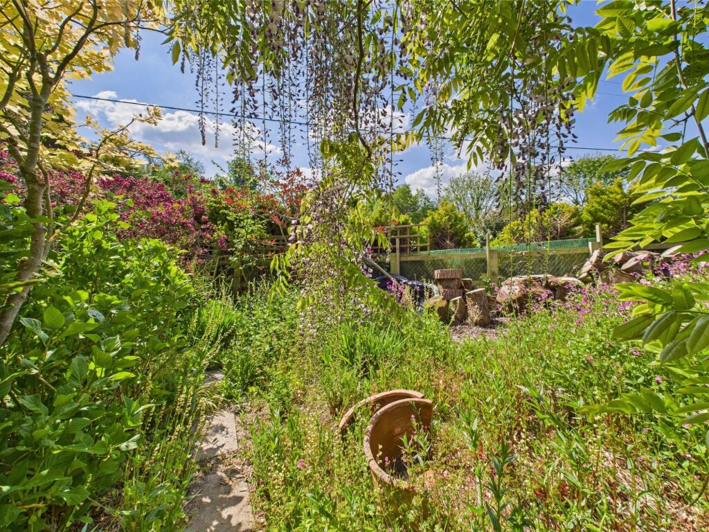Back Garden