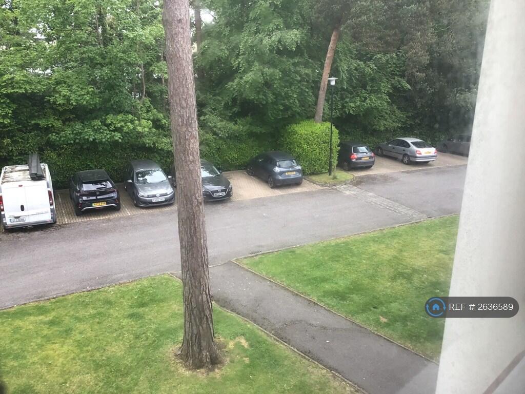 View From Lounge Window
