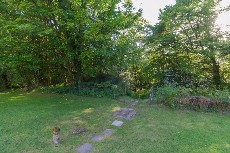 Path Leading To Forrest Trail 