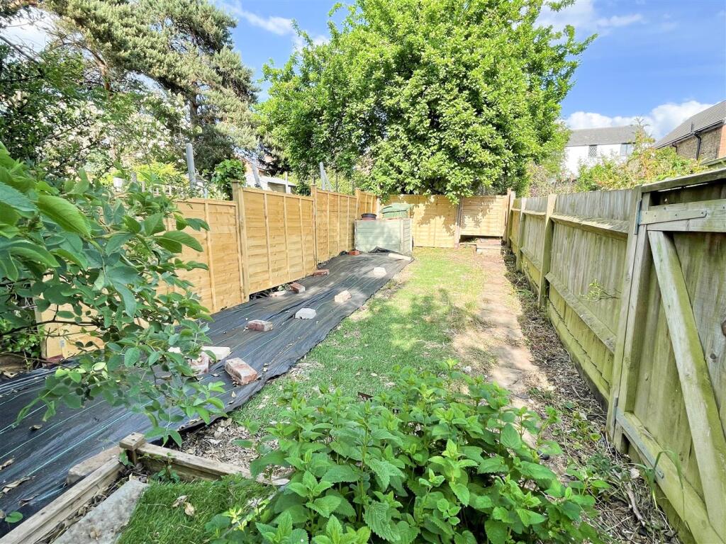 Garden 4.jpg