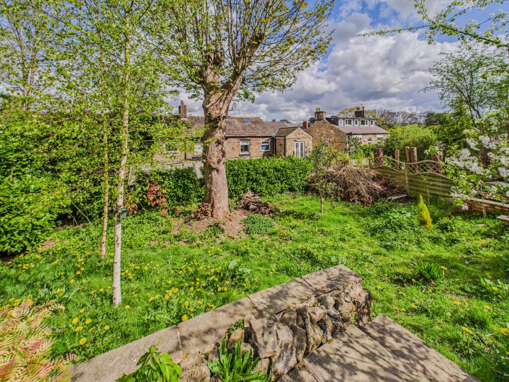 Rear Garden - Wilding Area