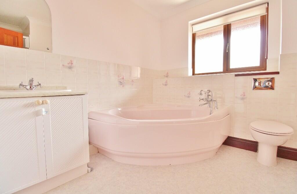 IMG_5491 (1024x66...