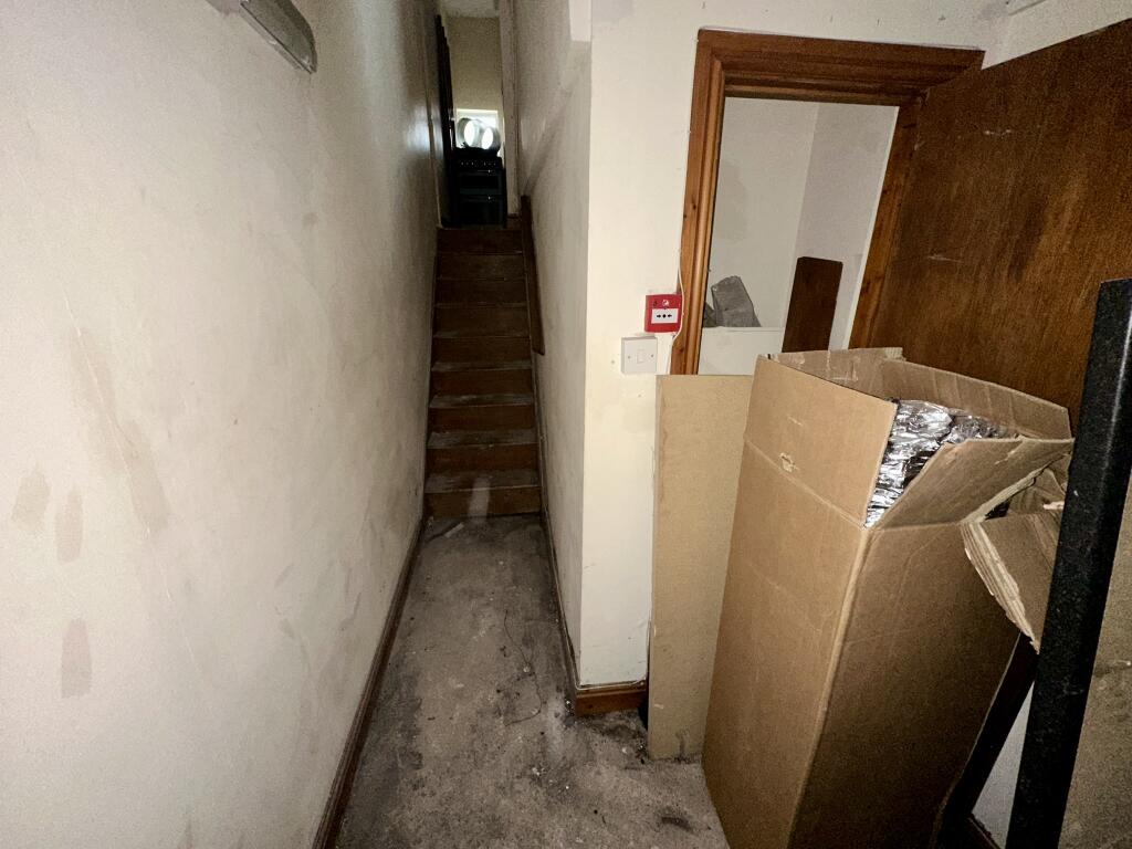 IMG 3941 T202510202156.jpeg