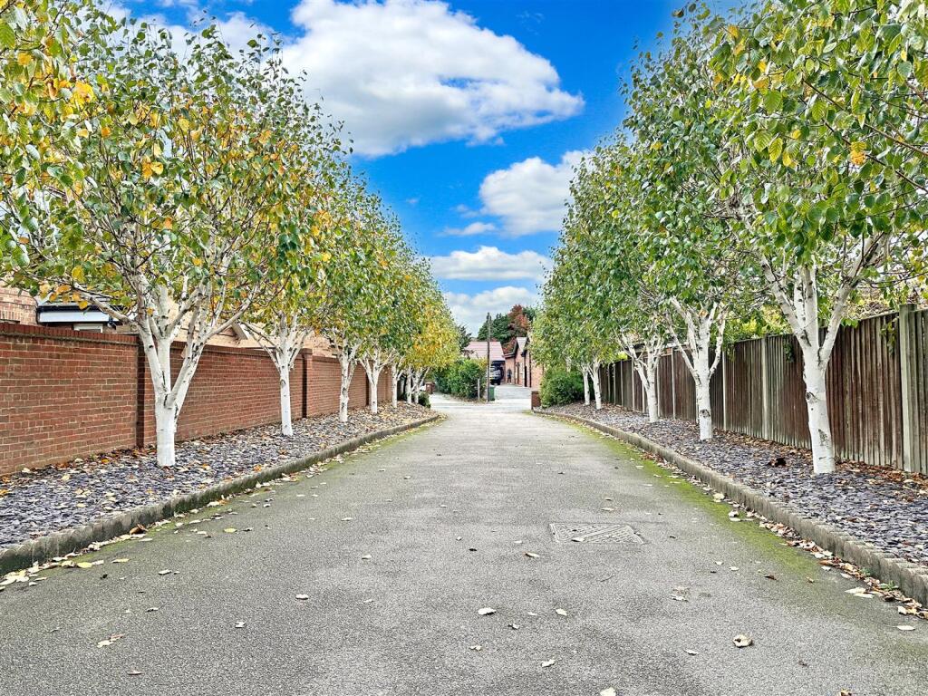 Attractive Tree-lined Entrance 191