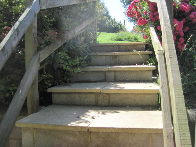 Steps to main garden