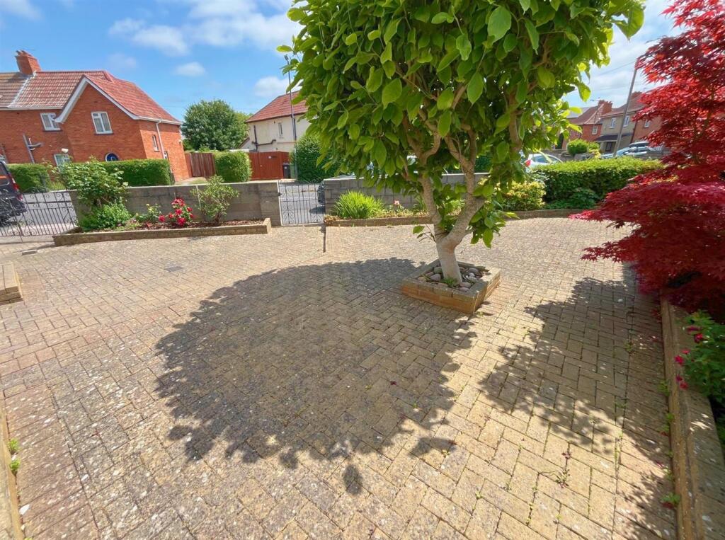 Front garden.jpg