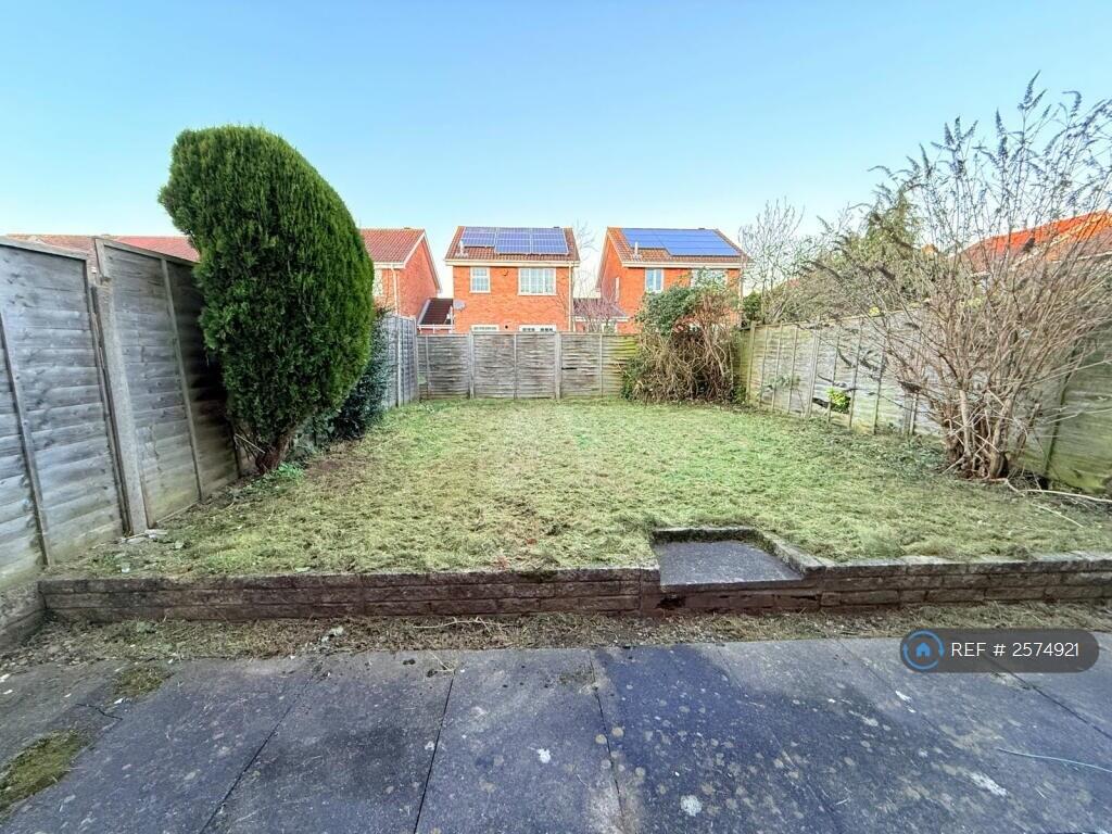 Back Garden