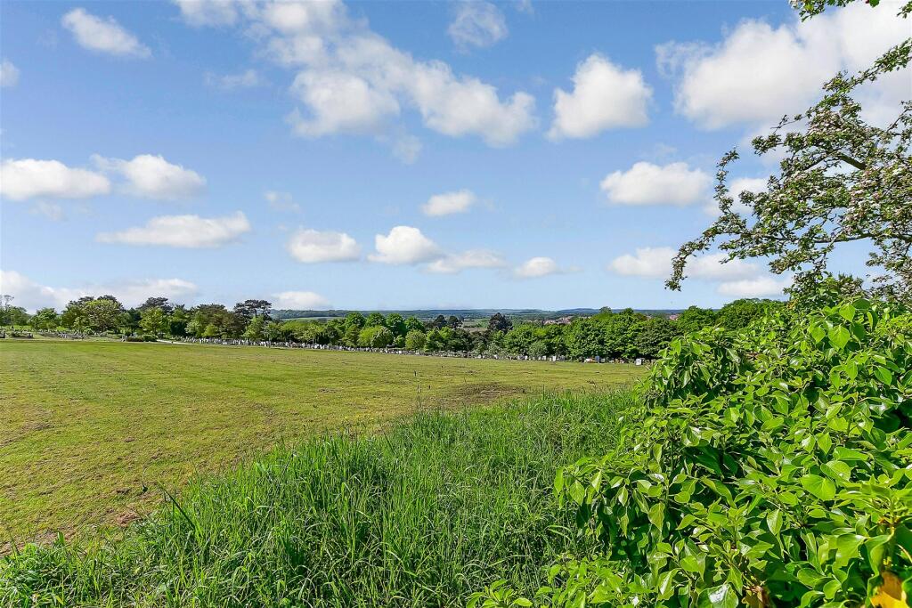Surrounding Area