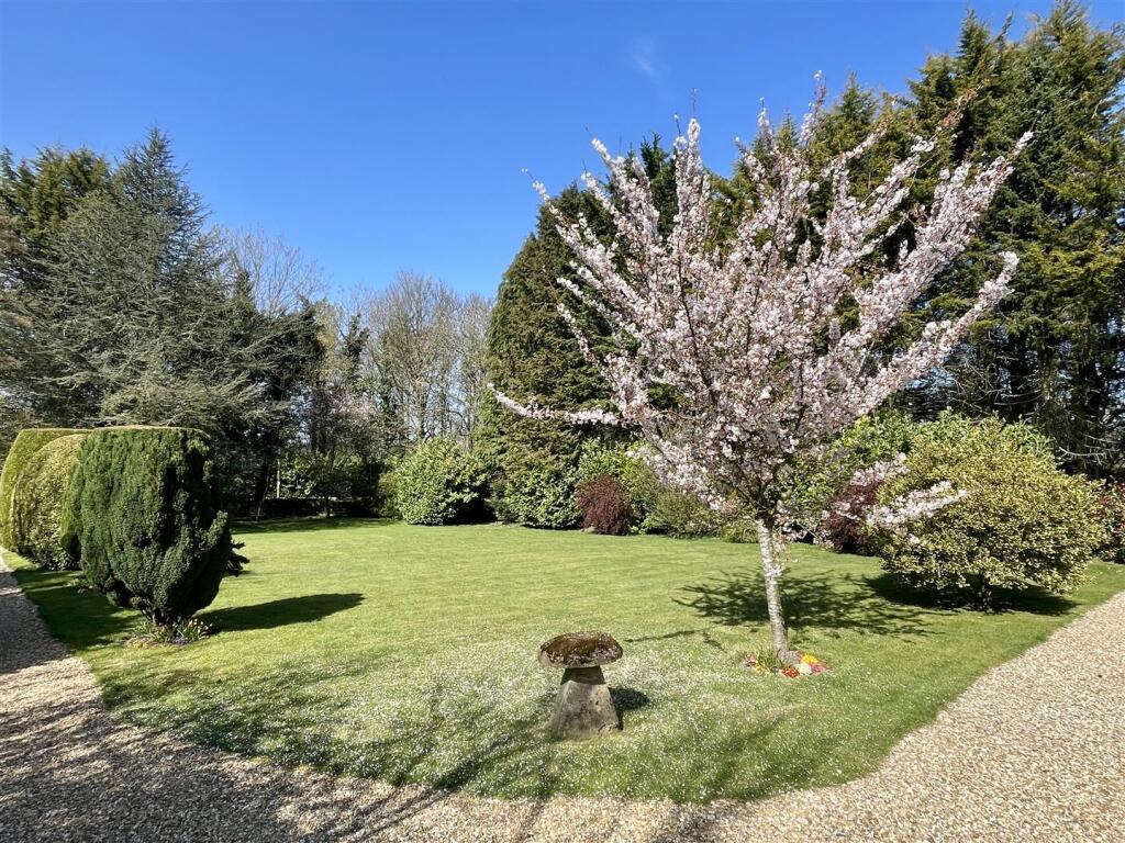 Front garden (2).JPEG