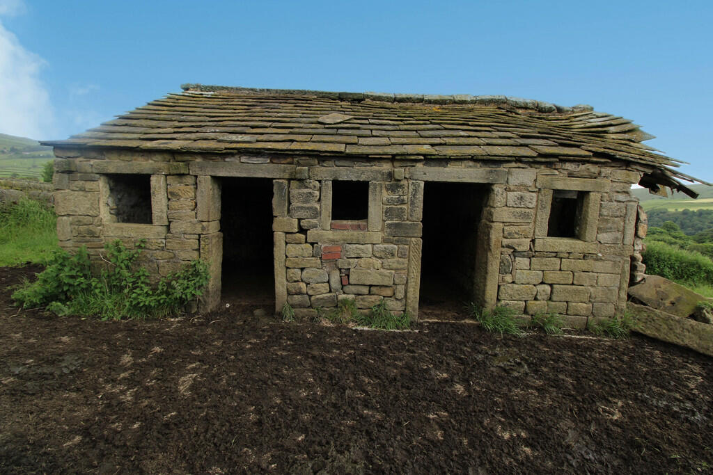 Piggery