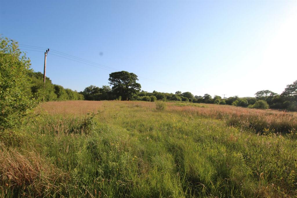 fields.JPG