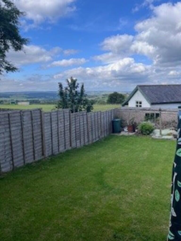 back garden 2