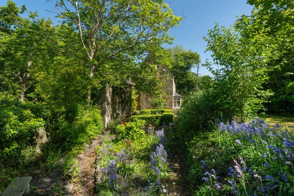 Side Garden