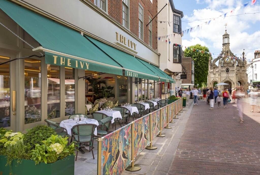 The Ivy