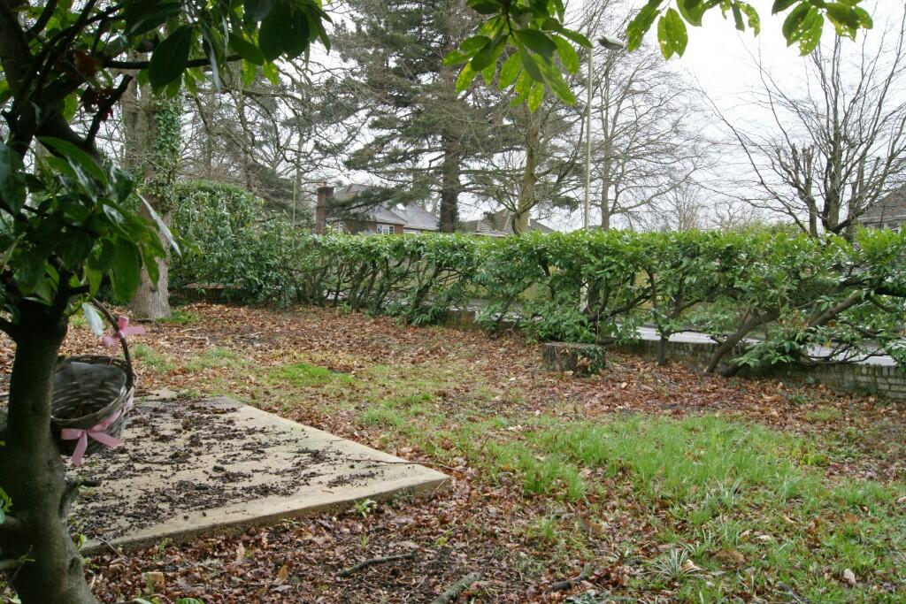 Side Garden